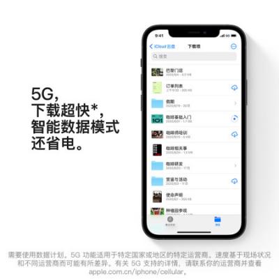 苹果 Apple iPhone12 (A2404) 支持移动联通电信5G 双卡双待手机