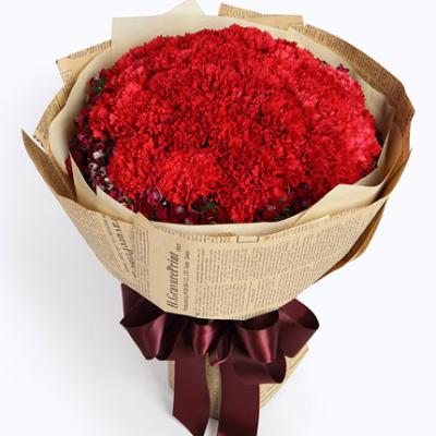 33朵红色康乃馨花束 同城鲜花配送