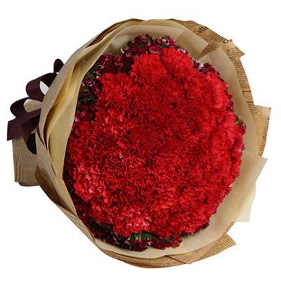 33朵红色康乃馨花束 同城鲜花配送