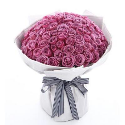 99朵紫玫瑰花束 同城鲜花配送