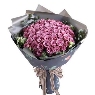 66朵紫玫瑰花束 同城鲜花配送