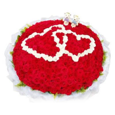 520朵红白玫瑰搭配花束 同城鲜花配送