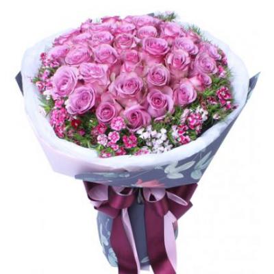 33朵紫玫瑰花束 同城鲜花配送