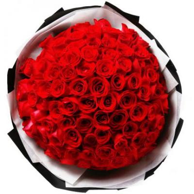 66朵红玫瑰花束 同城鲜花配送