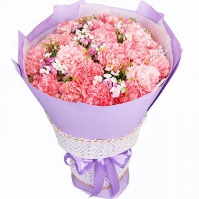 19朵粉色康乃馨花束 同城鲜花配送