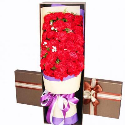 33朵红色康乃馨花束礼盒 同城鲜花配送