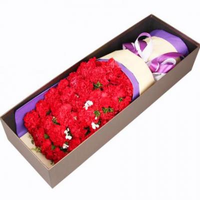 33朵红色康乃馨花束礼盒 同城鲜花配送
